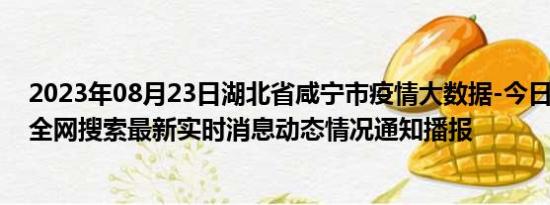 2023年08月23日湖北省咸宁市疫情大数据-今日/今天疫情全网搜索最新实时消息动态情况通知播报