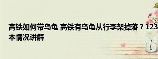 高铁如何带乌龟 高铁有乌龟从行李架掉落？12306回应 基本情况讲解