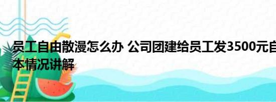 员工自由散漫怎么办 公司团建给员工发3500元自由安排 基本情况讲解