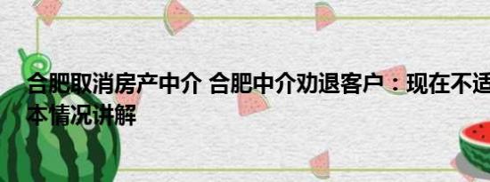 合肥取消房产中介 合肥中介劝退客户：现在不适合买房 基本情况讲解