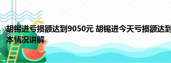 胡锡进亏损额达到9050元 胡锡进今天亏损额达到9050元 基本情况讲解