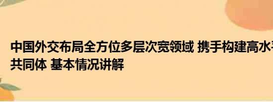 中国外交布局全方位多层次宽领域 携手构建高水平中南命运共同体 基本情况讲解