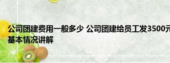 公司团建费用一般多少 公司团建给员工发3500元自由安排 基本情况讲解