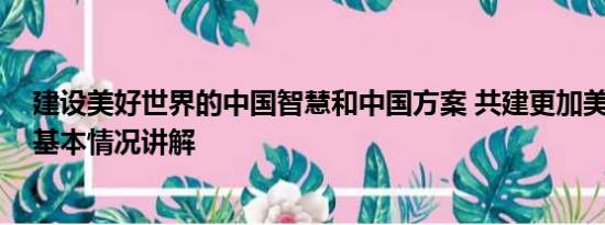 建设美好世界的中国智慧和中国方案 共建更加美好的世界 基本情况讲解