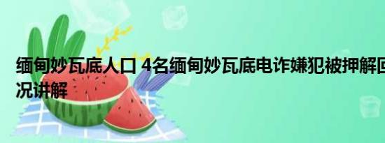 缅甸妙瓦底人口 4名缅甸妙瓦底电诈嫌犯被押解回国 基本情况讲解