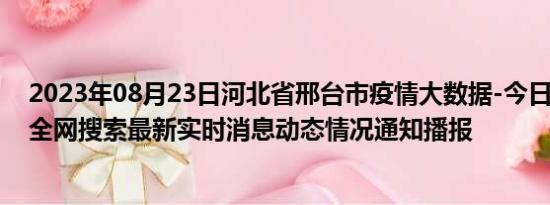 2023年08月23日河北省邢台市疫情大数据-今日/今天疫情全网搜索最新实时消息动态情况通知播报