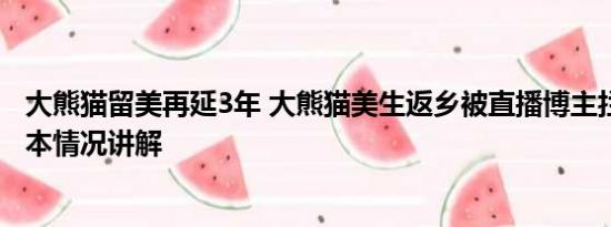 大熊猫留美再延3年 大熊猫美生返乡被直播博主拦车截停 基本情况讲解