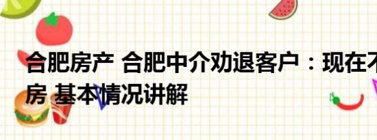 合肥房产 合肥中介劝退客户：现在不适合买房 基本情况讲解