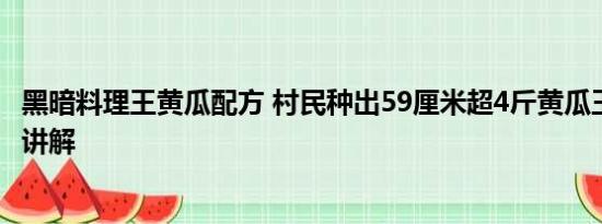 黑暗料理王黄瓜配方 村民种出59厘米超4斤黄瓜王 基本情况讲解