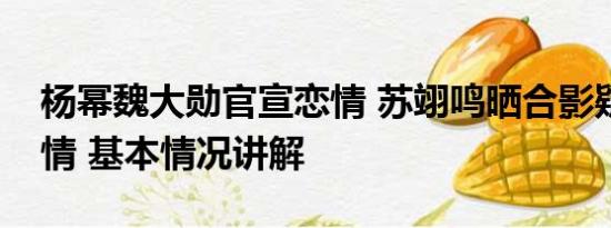 杨幂魏大勋官宣恋情 苏翊鸣晒合影疑官宣恋情 基本情况讲解