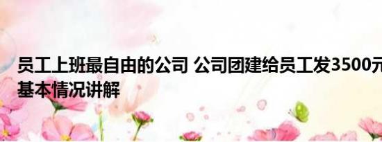 员工上班最自由的公司 公司团建给员工发3500元自由安排 基本情况讲解