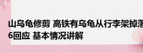 山乌龟修剪 高铁有乌龟从行李架掉落？12306回应 基本情况讲解