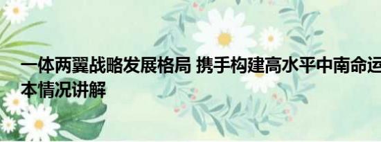 一体两翼战略发展格局 携手构建高水平中南命运共同体 基本情况讲解