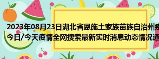 2023年08月23日湖北省恩施土家族苗族自治州疫情大数据-今日/今天疫情全网搜索最新实时消息动态情况通知播报