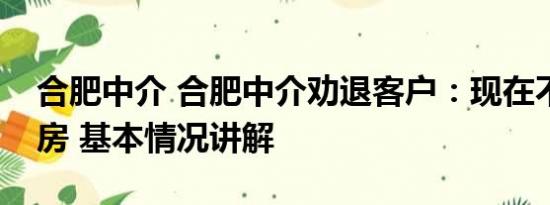 合肥中介 合肥中介劝退客户：现在不适合买房 基本情况讲解