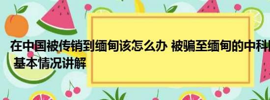 在中国被传销到缅甸该怎么办 被骗至缅甸的中科院博士获救 基本情况讲解