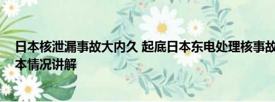 日本核泄漏事故大内久 起底日本东电处理核事故黑历史 基本情况讲解