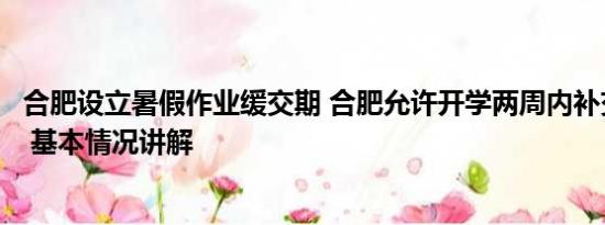 合肥设立暑假作业缓交期 合肥允许开学两周内补交暑假作业 基本情况讲解