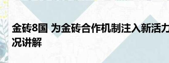 金砖8国 为金砖合作机制注入新活力 基本情况讲解