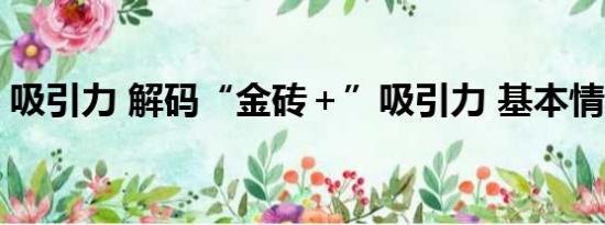 吸引力 解码“金砖＋”吸引力 基本情况讲解