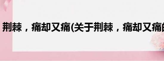 荆棘，痛却又痛(关于荆棘，痛却又痛的简介)