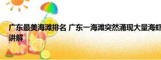 广东最美海滩排名 广东一海滩突然涌现大量海虾 基本情况讲解