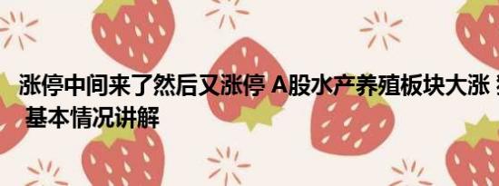 涨停中间来了然后又涨停 A股水产养殖板块大涨 獐子岛涨停 基本情况讲解