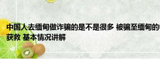 中国人去缅甸做诈骗的是不是很多 被骗至缅甸的中科院博士获救 基本情况讲解