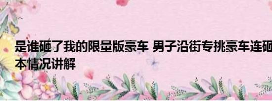 是谁砸了我的限量版豪车 男子沿街专挑豪车连砸十几辆 基本情况讲解