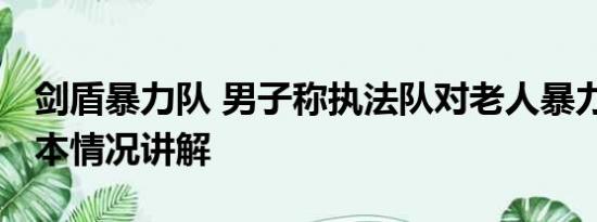 剑盾暴力队 男子称执法队对老人暴力执法 基本情况讲解