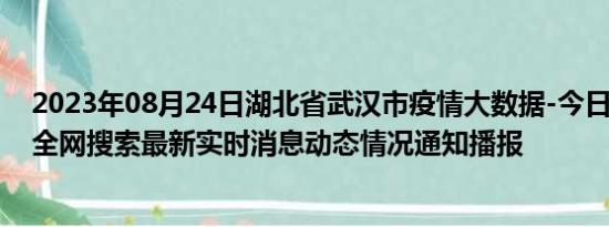 2023年08月24日湖北省武汉市疫情大数据-今日/今天疫情全网搜索最新实时消息动态情况通知播报