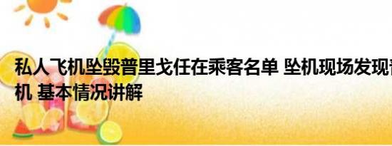 私人飞机坠毁普里戈任在乘客名单 坠机现场发现普里戈任手机 基本情况讲解