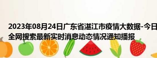 2023年08月24日广东省湛江市疫情大数据-今日/今天疫情全网搜索最新实时消息动态情况通知播报