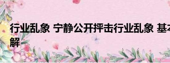 行业乱象 宁静公开抨击行业乱象 基本情况讲解