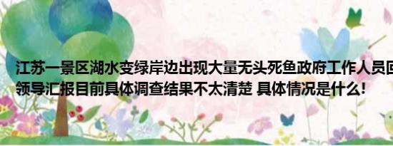 江苏一景区湖水变绿岸边出现大量无头死鱼政府工作人员回应：已经和领导汇报目前具体调查结果不太清楚 具体情况是什么!