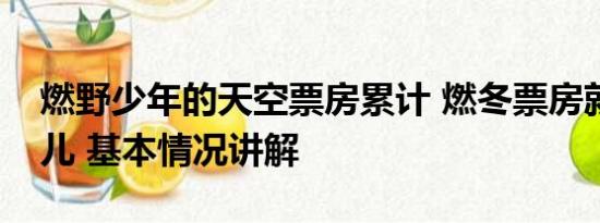 燃野少年的天空票房累计 燃冬票房就像豆汁儿 基本情况讲解