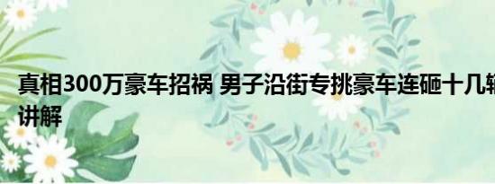 真相300万豪车招祸 男子沿街专挑豪车连砸十几辆 基本情况讲解