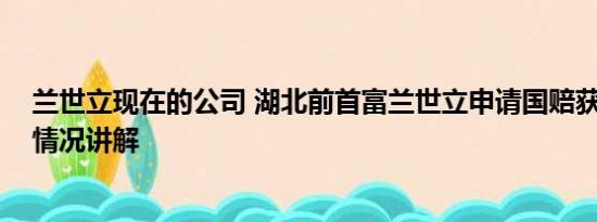 兰世立现在的公司 湖北前首富兰世立申请国赔获立案 基本情况讲解