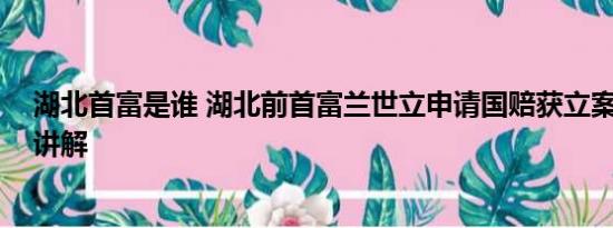 湖北首富是谁 湖北前首富兰世立申请国赔获立案 基本情况讲解