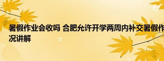 暑假作业会收吗 合肥允许开学两周内补交暑假作业 基本情况讲解