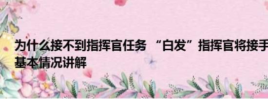 为什么接不到指挥官任务 “白发”指挥官将接手瓦格纳？ 基本情况讲解