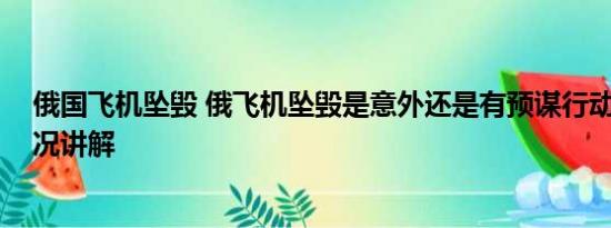 俄国飞机坠毁 俄飞机坠毁是意外还是有预谋行动？ 基本情况讲解