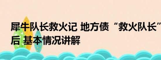 犀牛队长救火记 地方债“救火队长”获刑背后 基本情况讲解