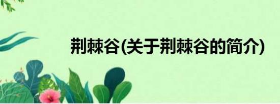 荆棘谷(关于荆棘谷的简介)