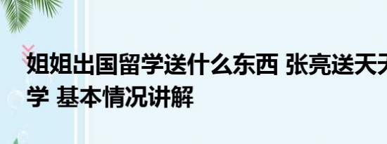 姐姐出国留学送什么东西 张亮送天天出国留学 基本情况讲解