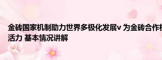 金砖国家机制助力世界多极化发展v 为金砖合作机制注入新活力 基本情况讲解