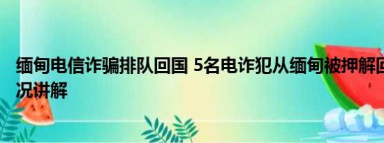 缅甸电信诈骗排队回国 5名电诈犯从缅甸被押解回国 基本情况讲解