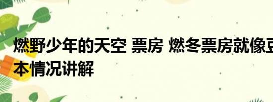 燃野少年的天空 票房 燃冬票房就像豆汁儿 基本情况讲解