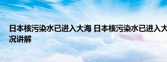 日本核污染水已进入大海 日本核污染水已进入大海 基本情况讲解