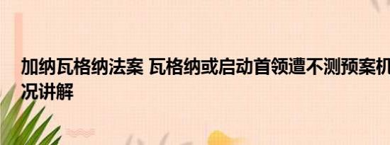 加纳瓦格纳法案 瓦格纳或启动首领遭不测预案机制 基本情况讲解